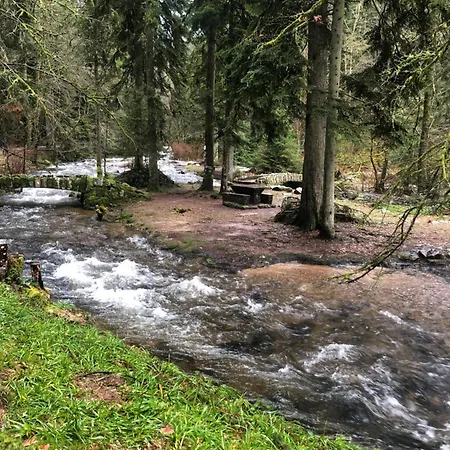 Chalet Au Fil De L'Eau Gérardmer Buitenkant foto
